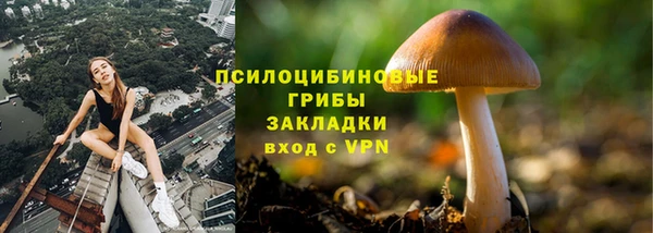 таблы Костерёво